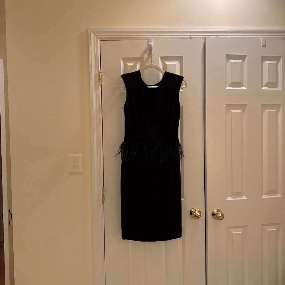 Black Feather Dress